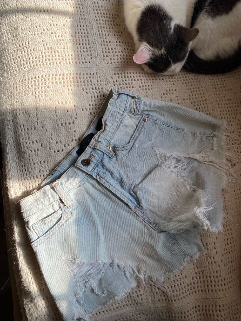 Kendall & Kylie Light Blue Distressed Denim Cutoff Shorts